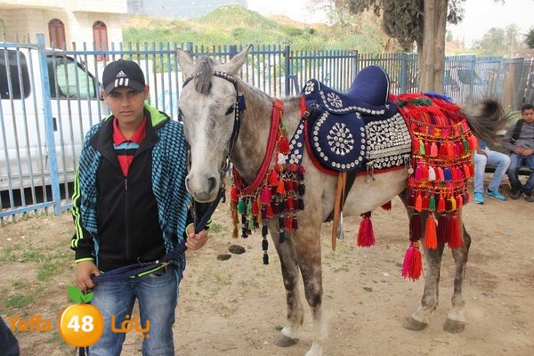 torath days 0304 (53).JPG